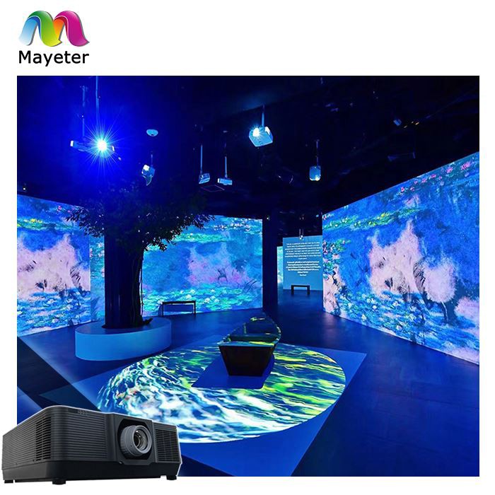 Projecteur immersif de musée